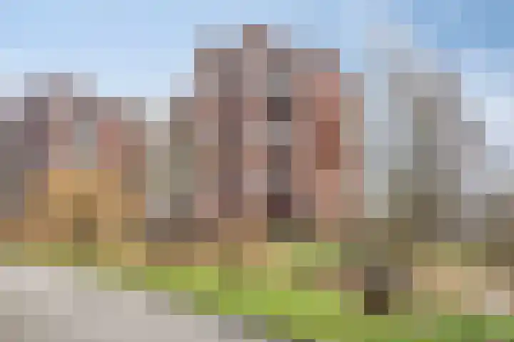De Eendracht 69 Delft thumbnail 42