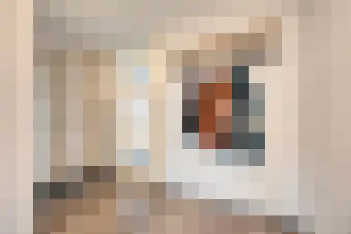 De Eendracht 69 Delft thumbnail 6