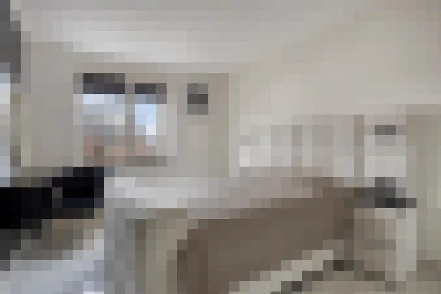 De Eendracht 8 Krimpen aan de Lek thumbnail 13