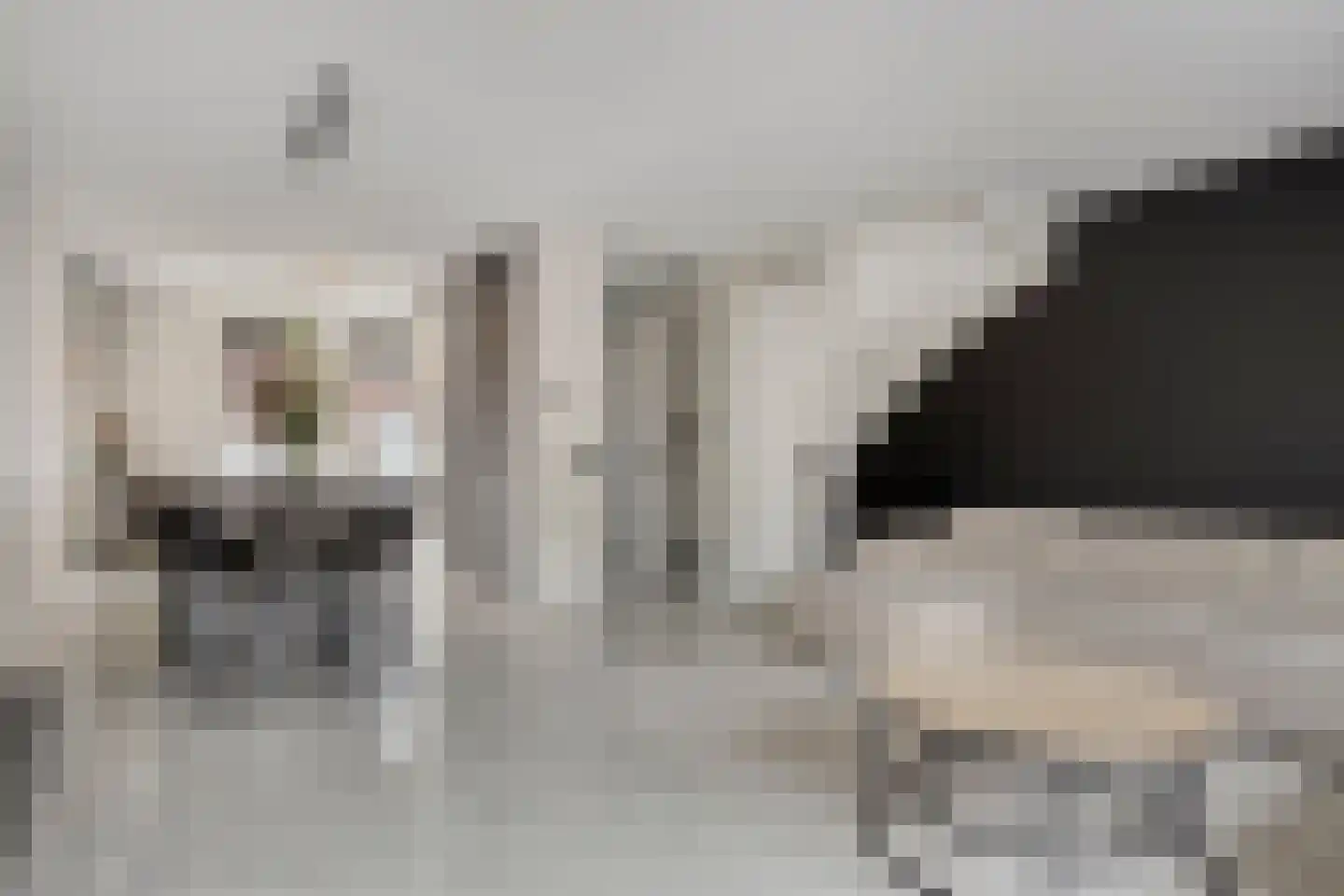 De Eendracht 8 Krimpen aan de Lek thumbnail 6
