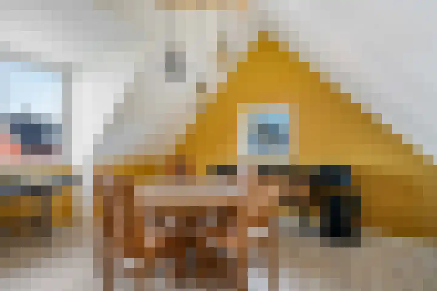 De Eendrachtswerf 12 Rosmalen thumbnail 31