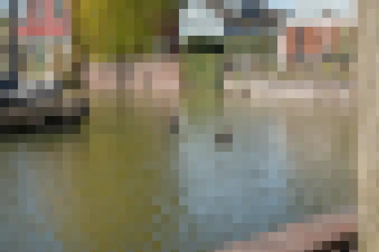 De Eendrachtswerf 12 Rosmalen thumbnail 44
