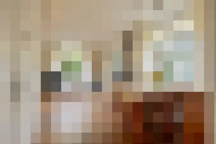 De Eendrachtweg 33 Leuvenheim thumbnail 11