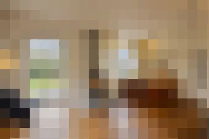 De Eendrachtweg 33 Leuvenheim thumbnail 13