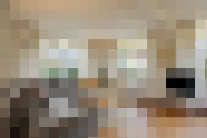 De Eendrachtweg 33 Leuvenheim thumbnail 16