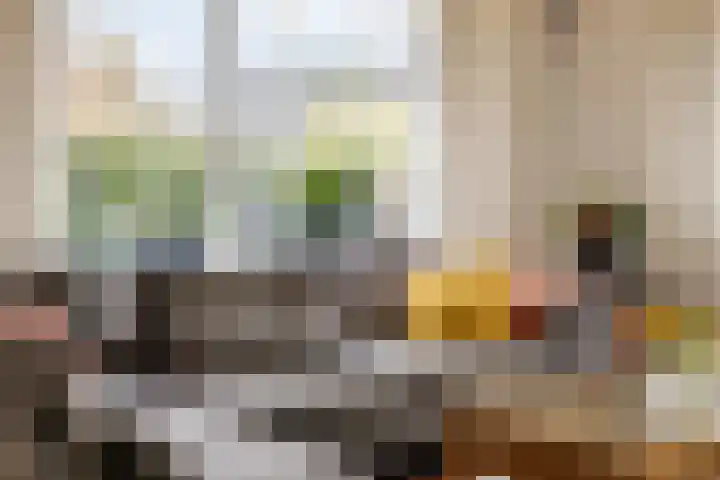De Eendrachtweg 33 Leuvenheim thumbnail 17