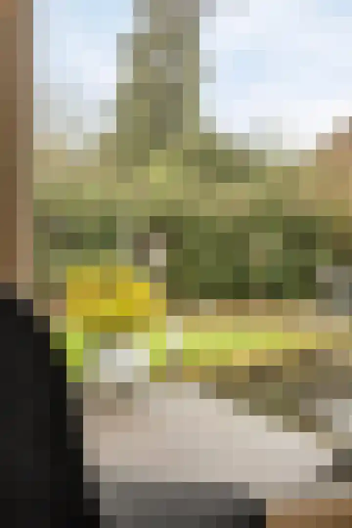De Eendrachtweg 33 Leuvenheim thumbnail 20