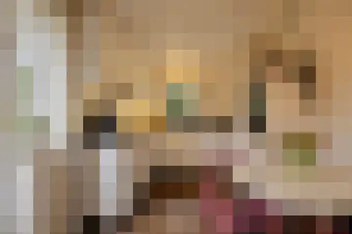 De Eendrachtweg 33 Leuvenheim thumbnail 23