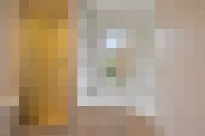 De Eendrachtweg 33 Leuvenheim thumbnail 27