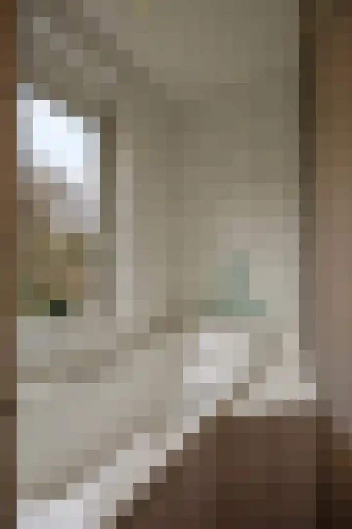 De Eendrachtweg 33 Leuvenheim thumbnail 29