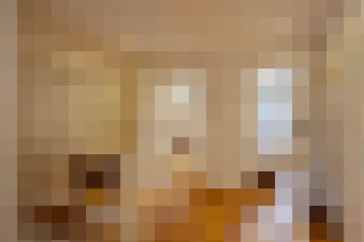 De Eendrachtweg 33 Leuvenheim thumbnail 31