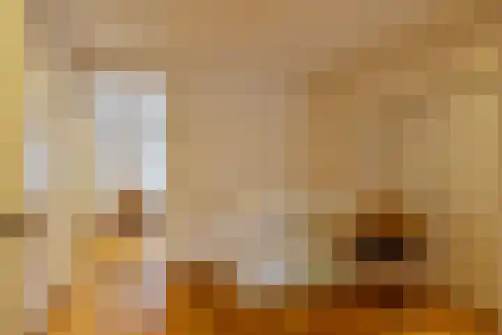 De Eendrachtweg 33 Leuvenheim thumbnail 32