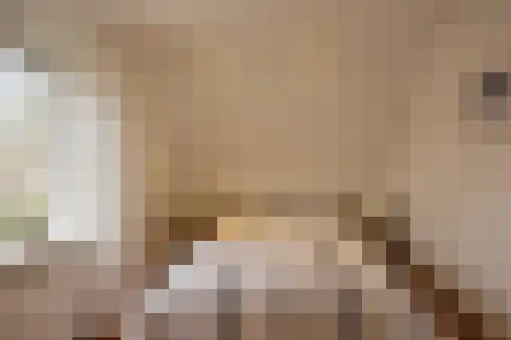 De Eendrachtweg 33 Leuvenheim thumbnail 36