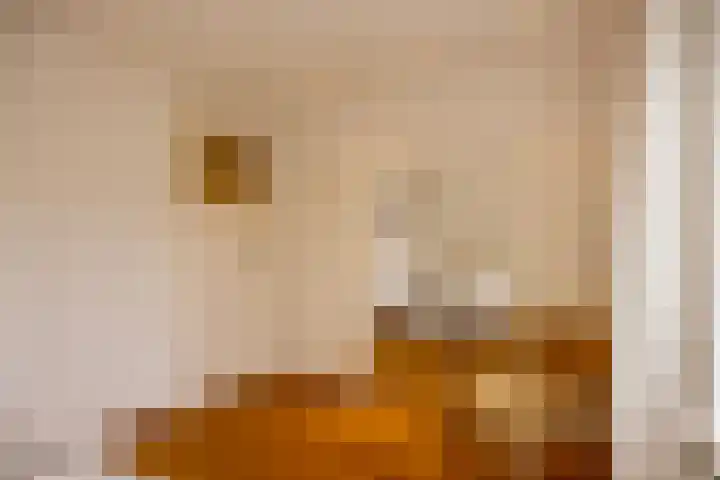 De Eendrachtweg 33 Leuvenheim thumbnail 40