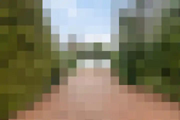 De Eendrachtweg 33 Leuvenheim thumbnail 46
