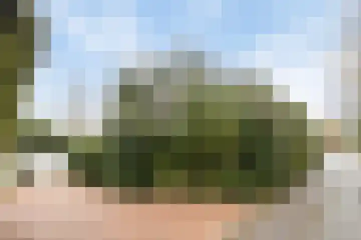 De Eendrachtweg 33 Leuvenheim thumbnail 47