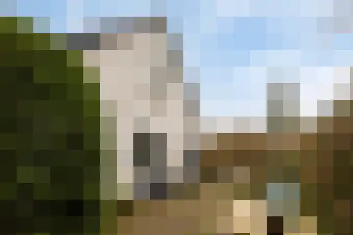 De Eendrachtweg 33 Leuvenheim thumbnail 48