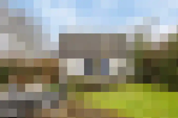 De Eendrachtweg 33 Leuvenheim thumbnail 49