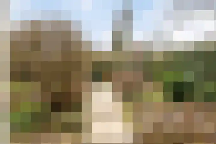De Eendrachtweg 33 Leuvenheim thumbnail 52