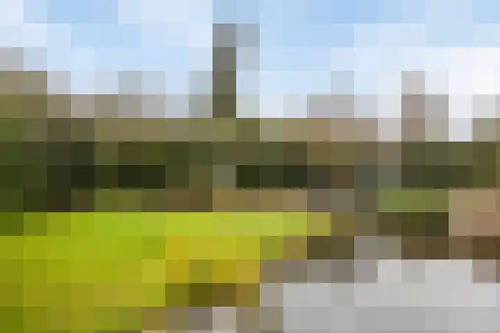 De Eendrachtweg 33 Leuvenheim thumbnail 53