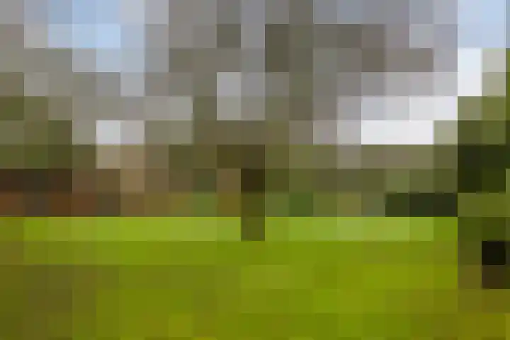 De Eendrachtweg 33 Leuvenheim thumbnail 54