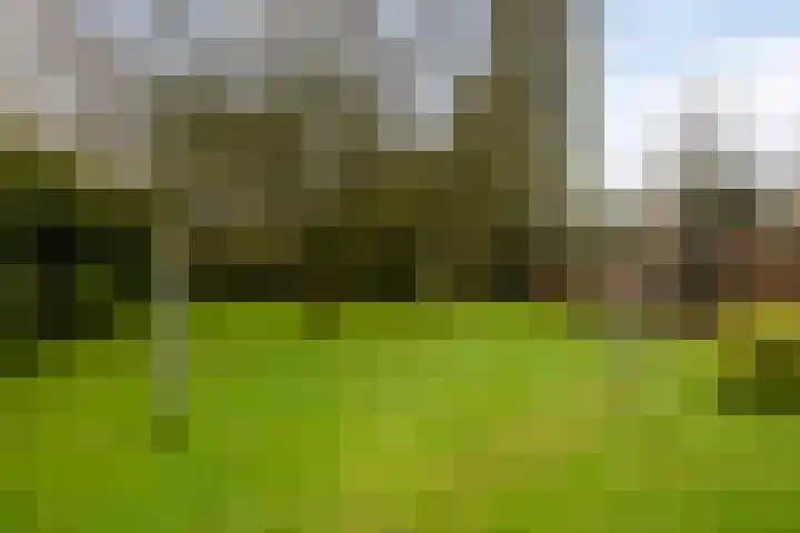 De Eendrachtweg 33 Leuvenheim thumbnail 57