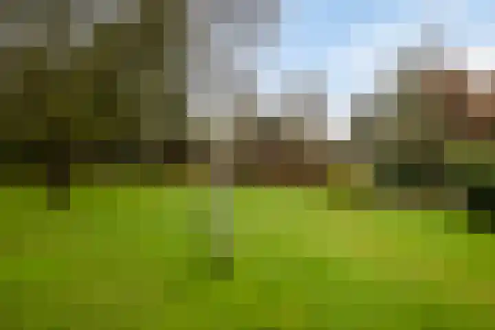 De Eendrachtweg 33 Leuvenheim thumbnail 58