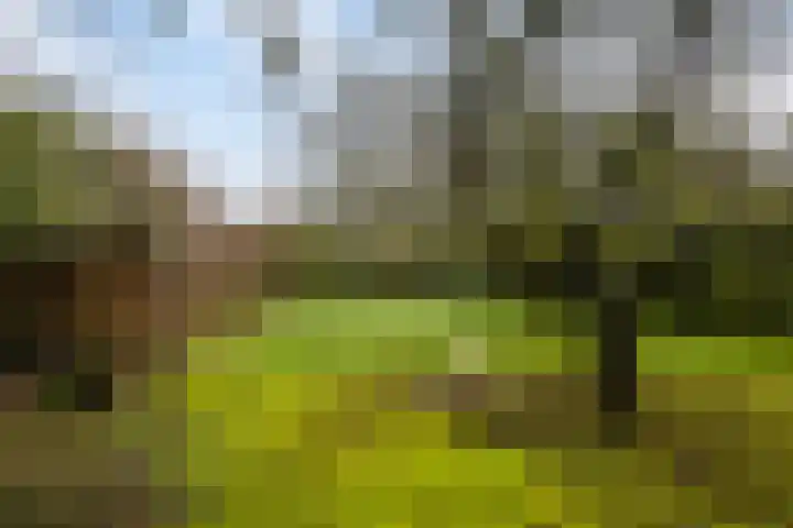 De Eendrachtweg 33 Leuvenheim thumbnail 59