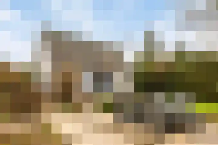 De Eendrachtweg 33 Leuvenheim thumbnail 60