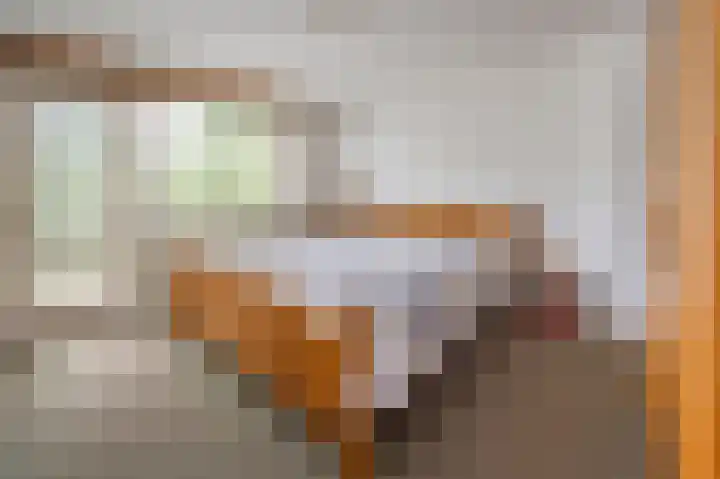 De Eendrachtweg 53 Leuvenheim thumbnail 12