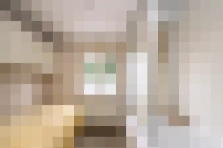 De Eendrachtweg 53 Leuvenheim thumbnail 13