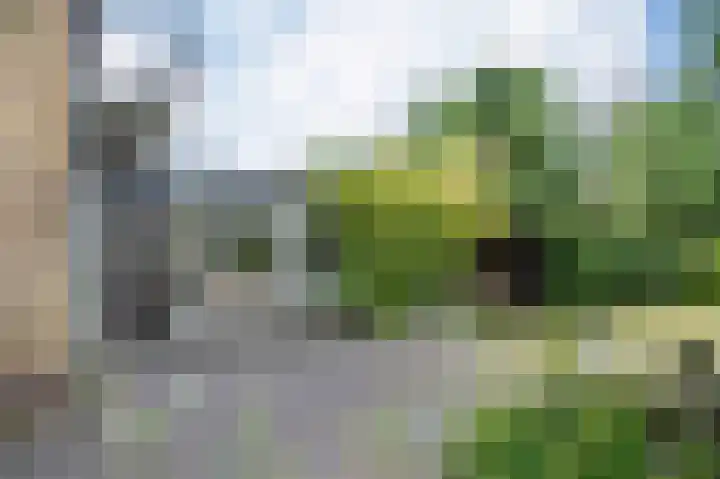 De Eendrachtweg 53 Leuvenheim thumbnail 21