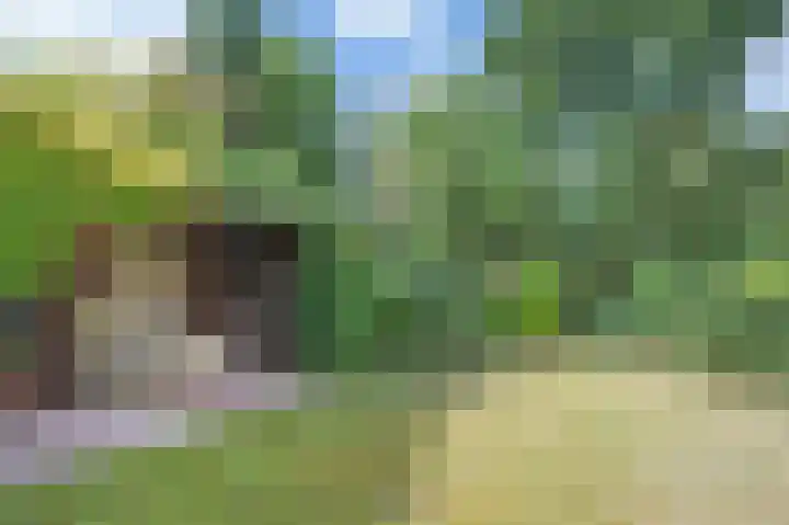 De Eendrachtweg 53 Leuvenheim thumbnail 22
