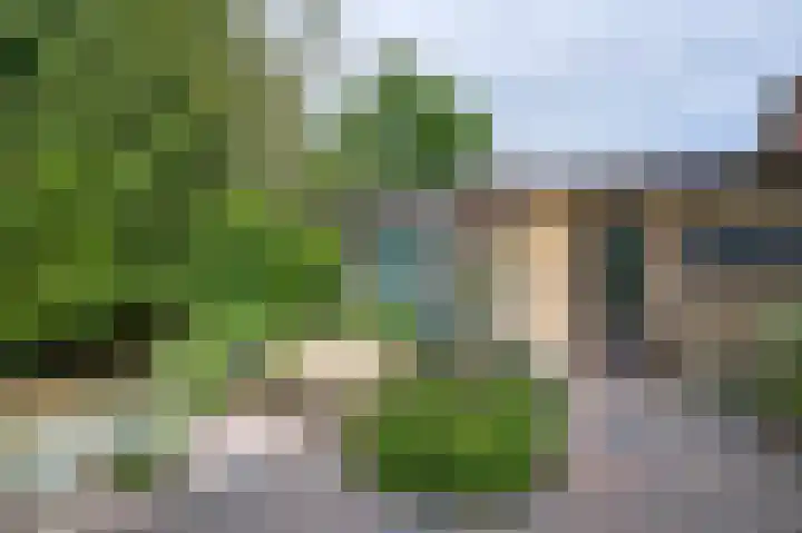 De Eendrachtweg 53 Leuvenheim thumbnail 23