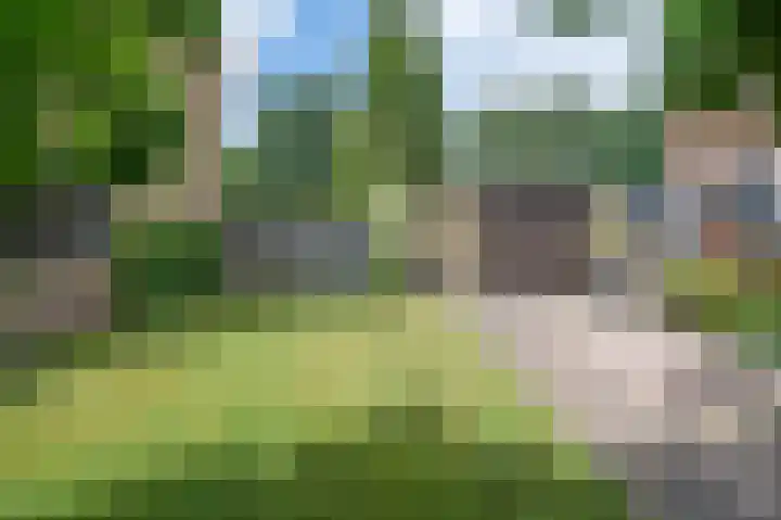 De Eendrachtweg 53 Leuvenheim thumbnail 24