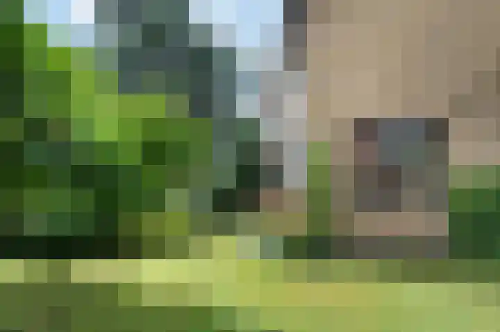 De Eendrachtweg 53 Leuvenheim thumbnail 26