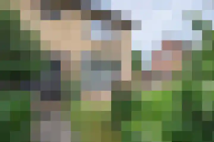 De Eendrachtweg 53 Leuvenheim thumbnail 27