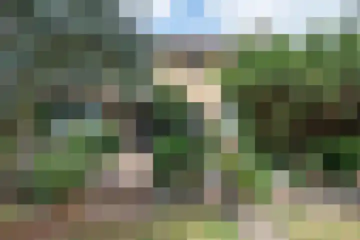 De Eendrachtweg 53 Leuvenheim thumbnail 28