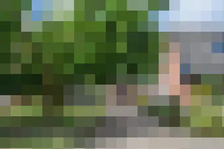 De Eendrachtweg 53 Leuvenheim thumbnail 29