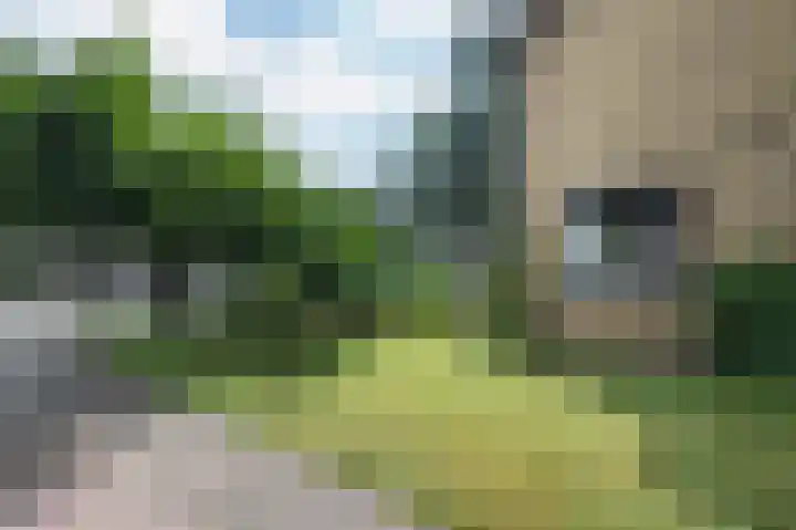 De Eendrachtweg 53 Leuvenheim thumbnail 30