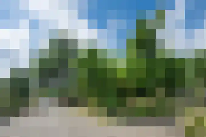 De Eendrachtweg 53 Leuvenheim thumbnail 31