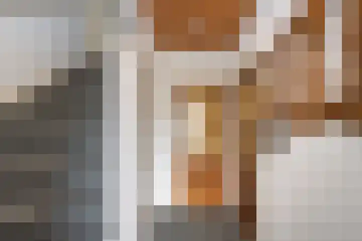 De Eendrachtweg 53 Leuvenheim thumbnail 4