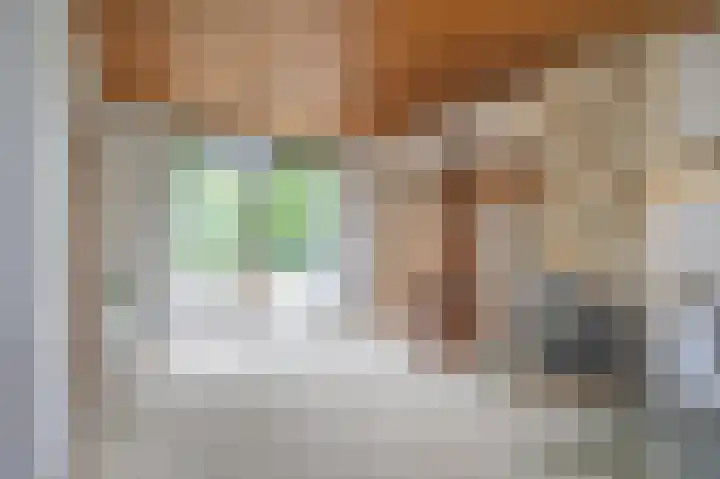 De Eendrachtweg 53 Leuvenheim thumbnail 7