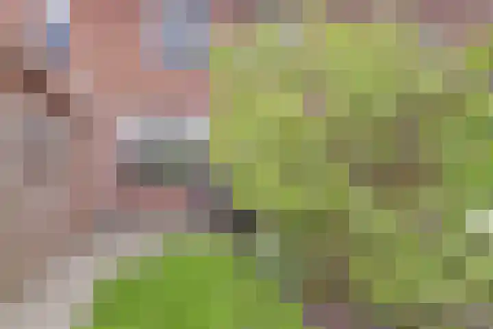 De Eenhoorn 148 Oosterblokker thumbnail 32