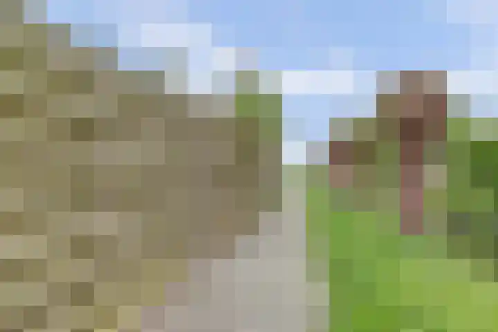 De Eenhoorn 148 Oosterblokker thumbnail 33