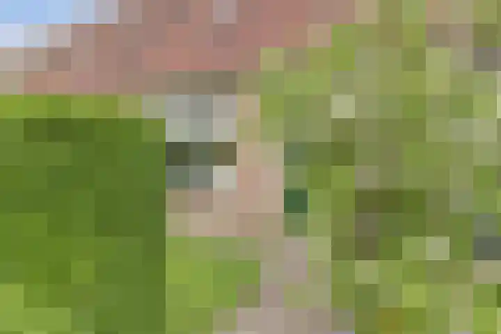 De Eenhoorn 148 Oosterblokker thumbnail 4