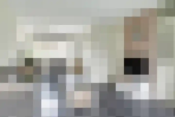De Eenhoorn 148 Oosterblokker thumbnail 7