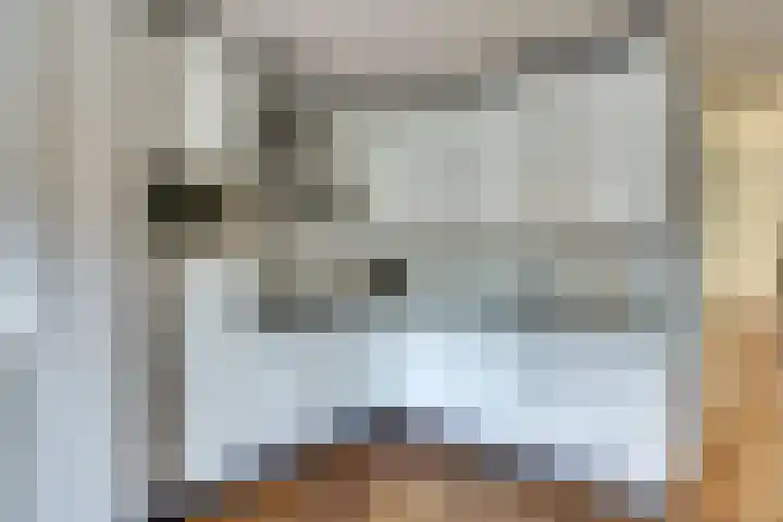 De Eenhoorn 2 e Oosterblokker thumbnail 13