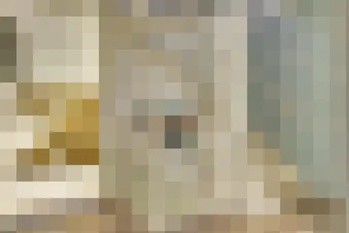 De Eenhoorn 2 e Oosterblokker thumbnail 17