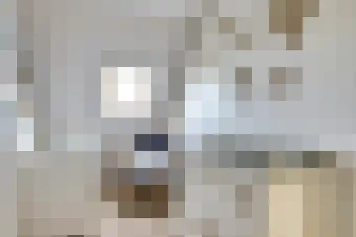 De Eenhoorn 2 e Oosterblokker thumbnail 20